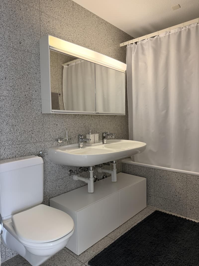 Charmante 2.5-Zimmerwohnung im 1. OG (5)