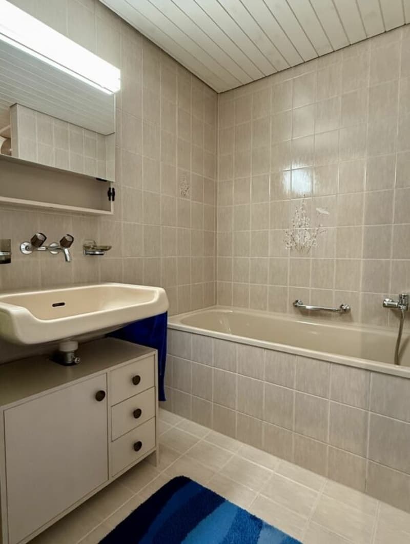 6.5-Zimmer-Reihenmittelhaus an bevorzugter Wohnlage (4)