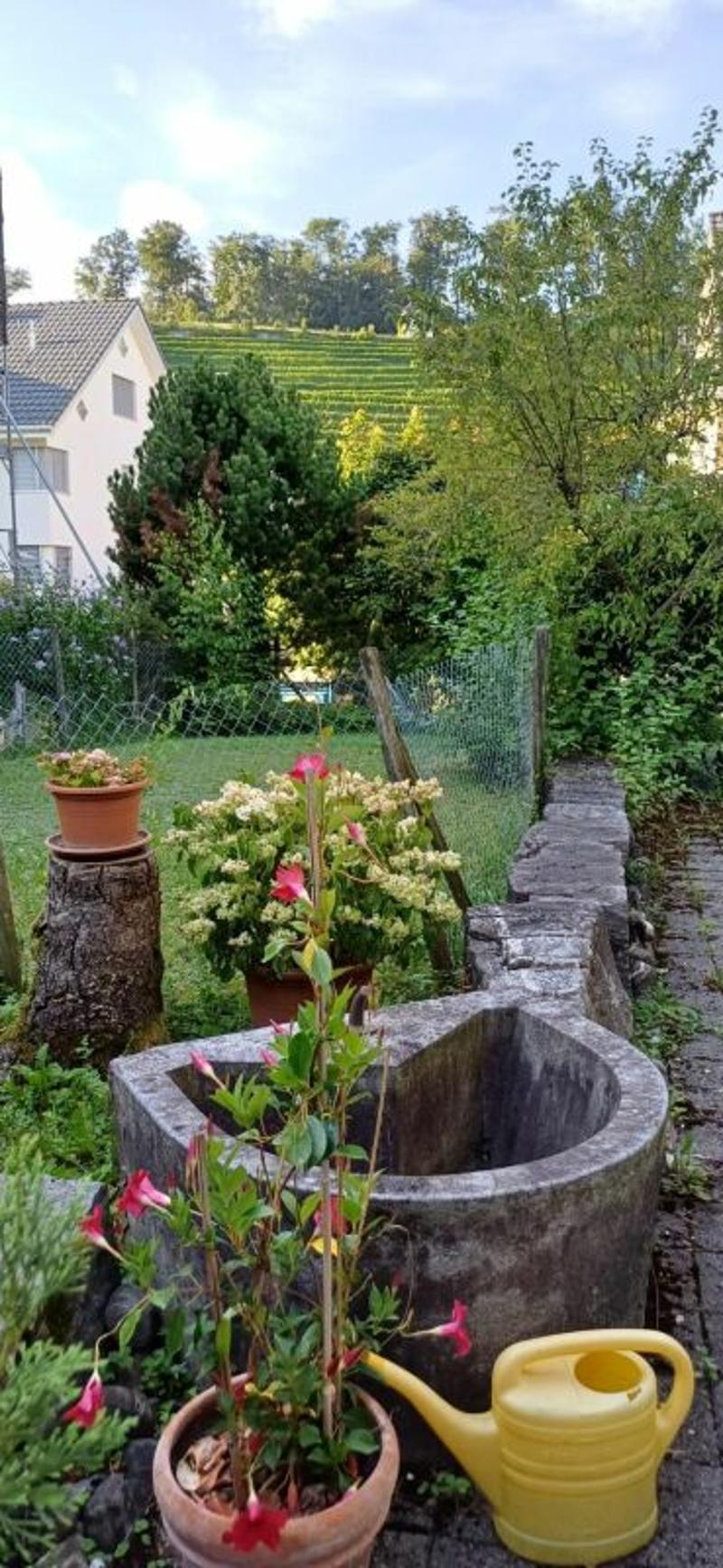 Grosszügige Wohnoase an begehrter Lage (15)