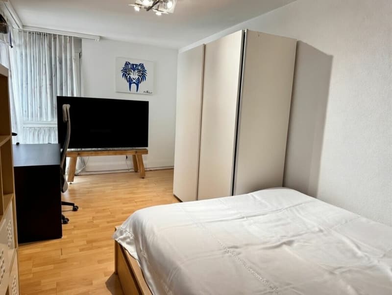 6.5-Zimmer-Attika-Maisonettewohnung (5)