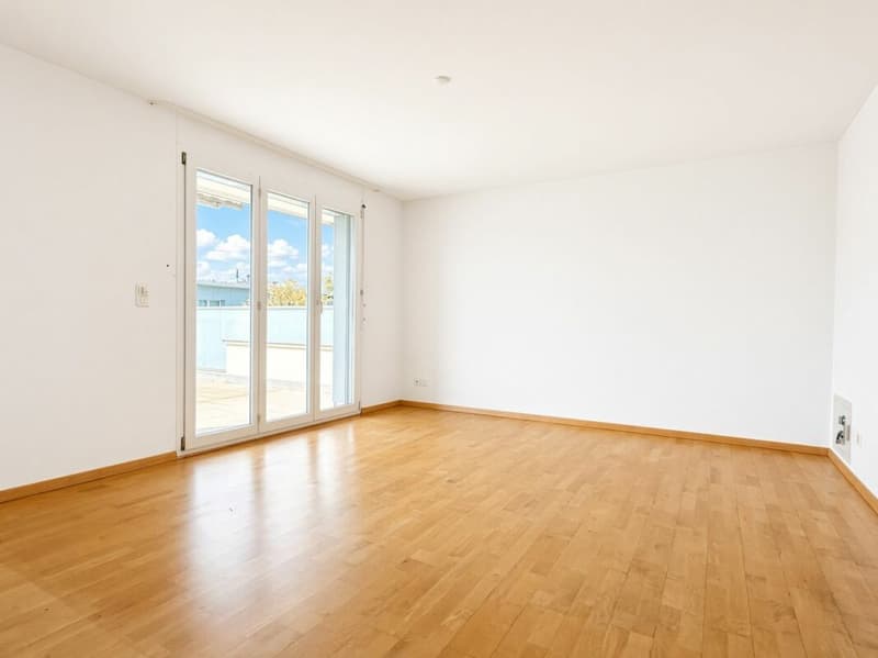 Exklusive 5.5-Zimmer-Attikawohnung mit Wintergarten und Sauna in Seenähe (17)