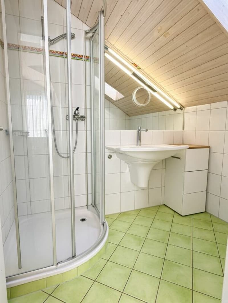 Grosszügiges 6.5-Zimmer-Doppeleinfamilienhaus mit Wintergarten an ruhiger und sonniger Wohnlage (6)