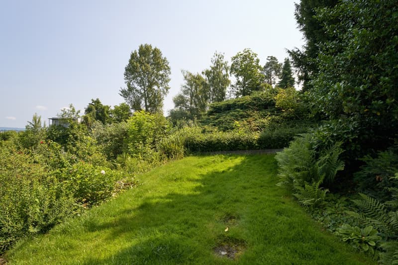 The image shows a lush, green outdoor garden area with a well-maintained lawn, surrounded by a variety of trees, shrubs, and other vegetation. The garden appears to be situated on a hillside, with a path or walkway leading through the greenery. The overal