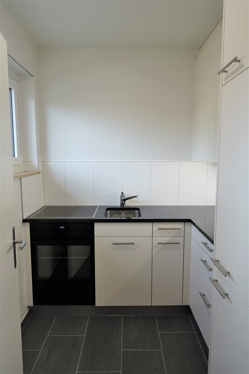 Zentral gelegene 2.5 Zimmerwohnung in Winterthur (3)