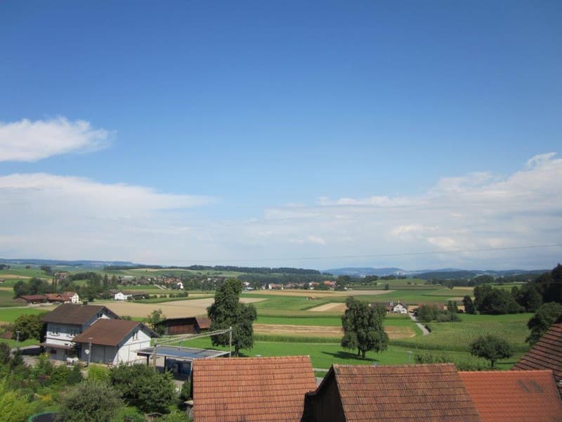Volltreffer !! (5)