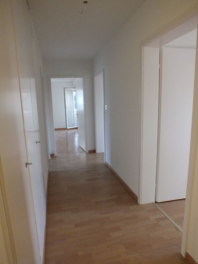 Charmante Wohnung mit bester Anbindung und Wohlfühlcharakter (2)
