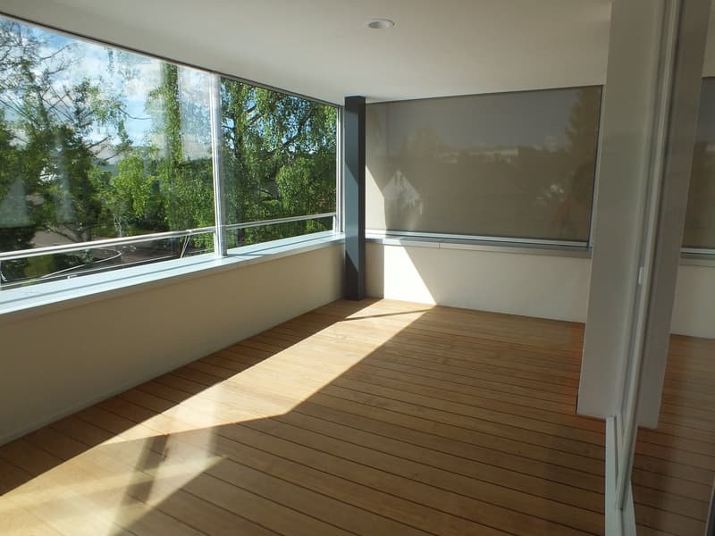 Attraktive Minergie-Wohnung mit grosser Loggia (2)