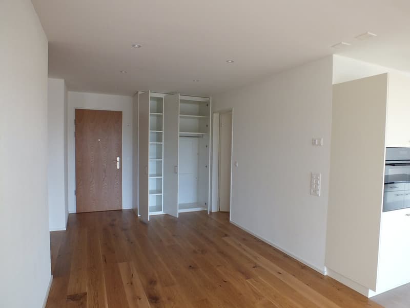 Attraktive Minergie-Wohnung mit grosser Loggia (5)