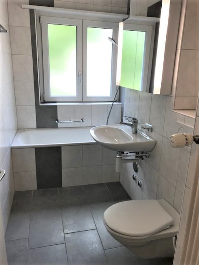Wohnung in zentraler Umgebung (3)