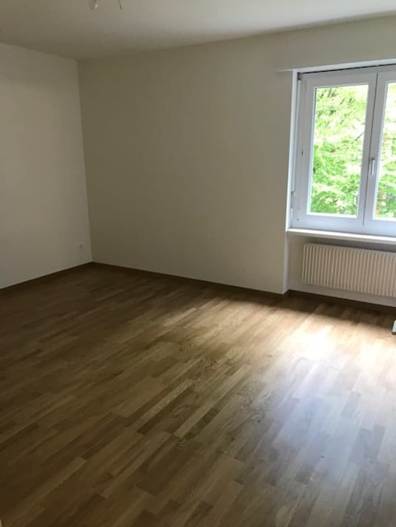 Wohnung in zentraler Umgebung (6)