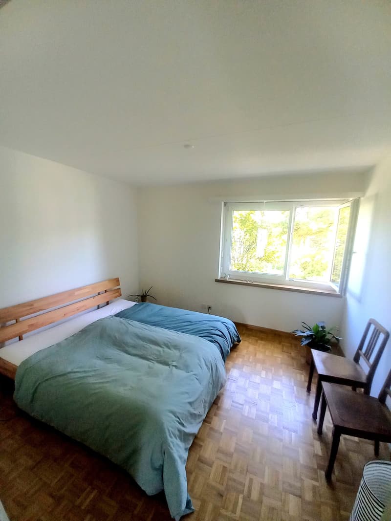 3-Zimmerwohnung im Hochparterre (6)