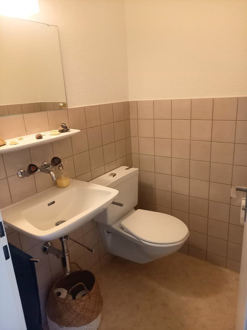 3-Zimmerwohnung im Hochparterre (13)