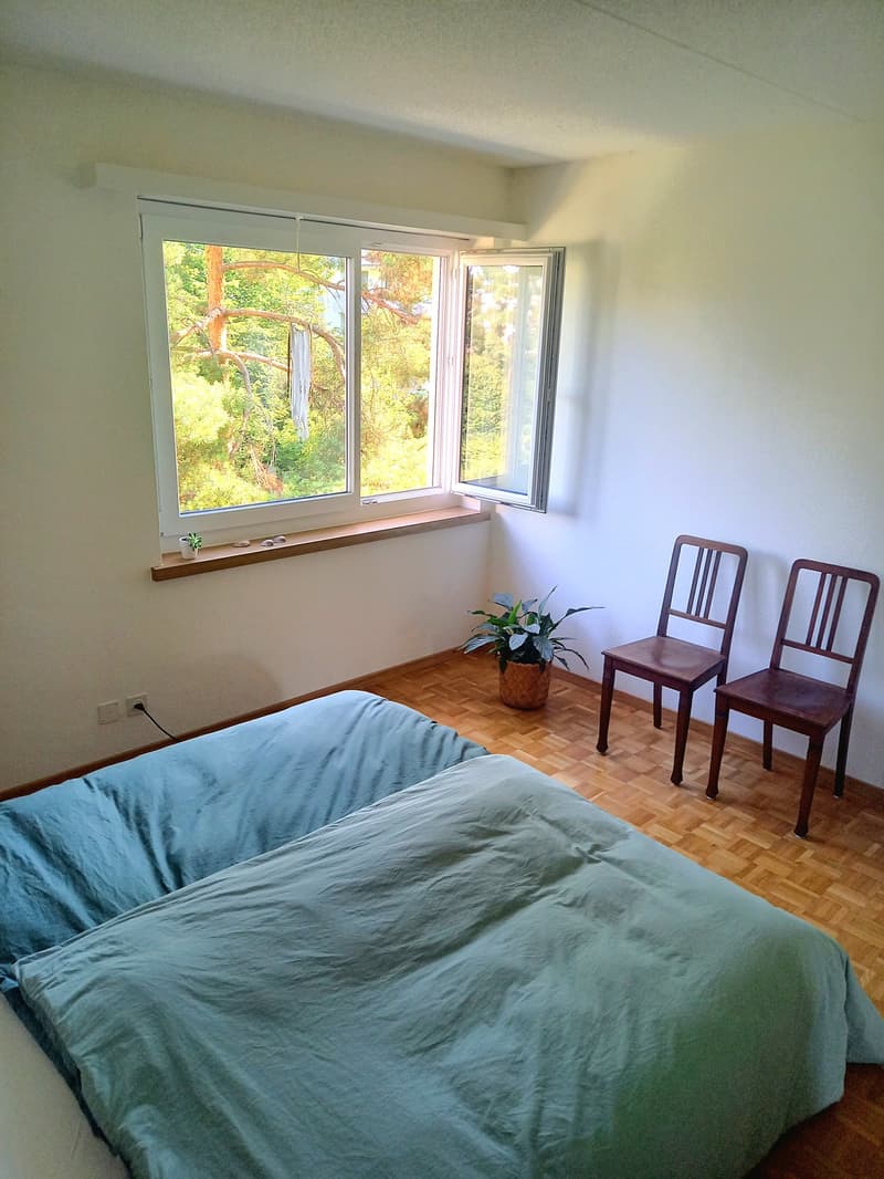3-Zimmerwohnung im Hochparterre (12)