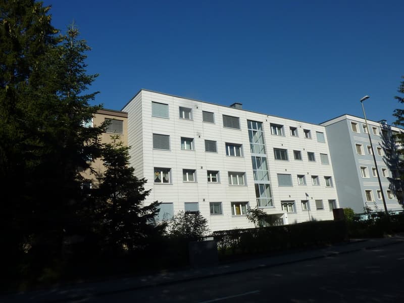 Schöne 2-Zimmerwohnung in gepflegter Überbauung (1)