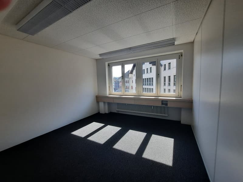 Zentral gelegene Geschäftsräumlichkeiten (4)