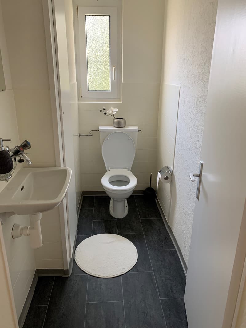 gemütliche 3.5-Zimmerwohnung in Dübendorf (4)