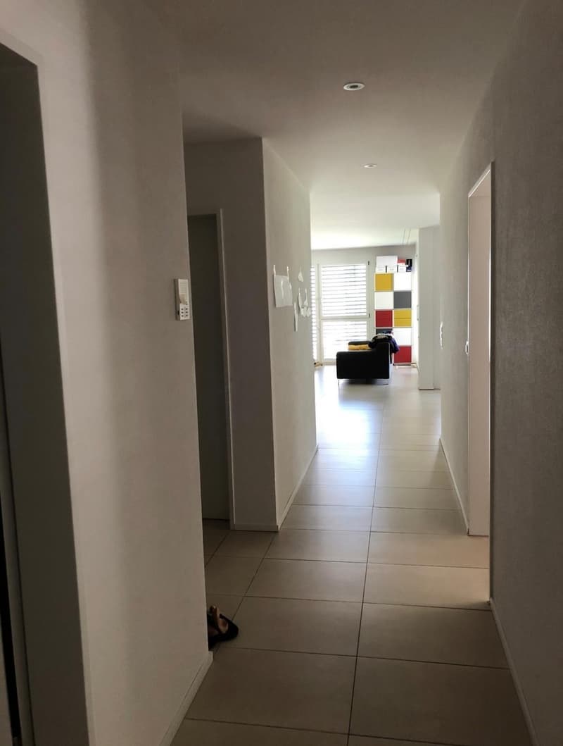 Helle 4.5-Zimmer-Wohnung an zentraler Lage in Zürich Wipkingen (3)