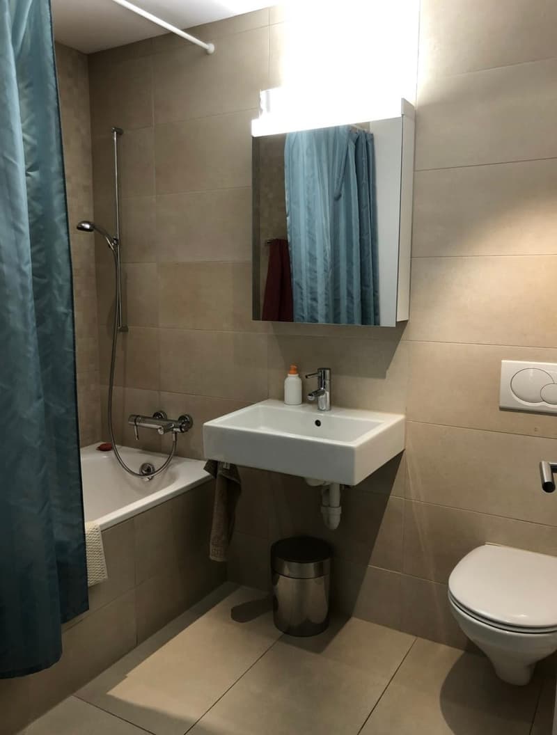 Helle 4.5-Zimmer-Wohnung an zentraler Lage in Zürich Wipkingen (2)