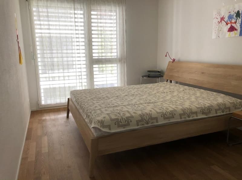 Helle 4.5-Zimmer-Wohnung an zentraler Lage in Zürich Wipkingen (5)
