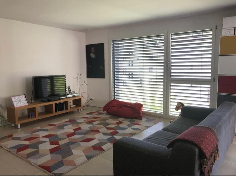 Helle 4.5-Zimmer-Wohnung an zentraler Lage in Zürich Wipkingen (4)