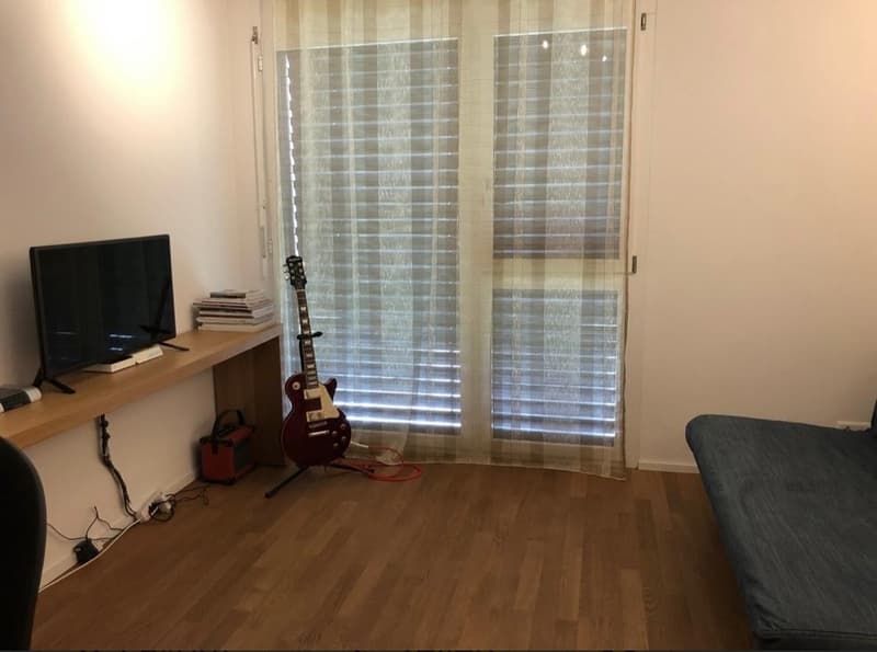 Helle 4.5-Zimmer-Wohnung an zentraler Lage in Zürich Wipkingen (6)