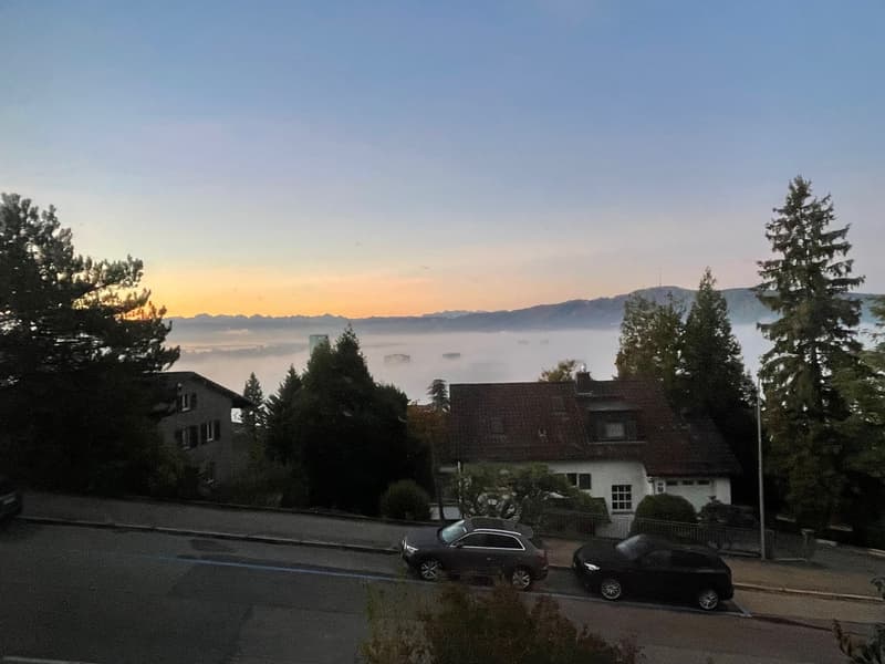 3 ½ Zimmer-Wohnung in Zürich mieten (5)
