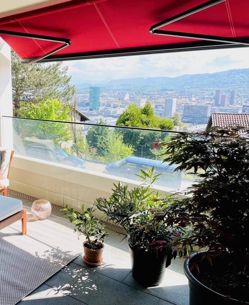 3 ½ Zimmer-Wohnung in Zürich mieten (6)