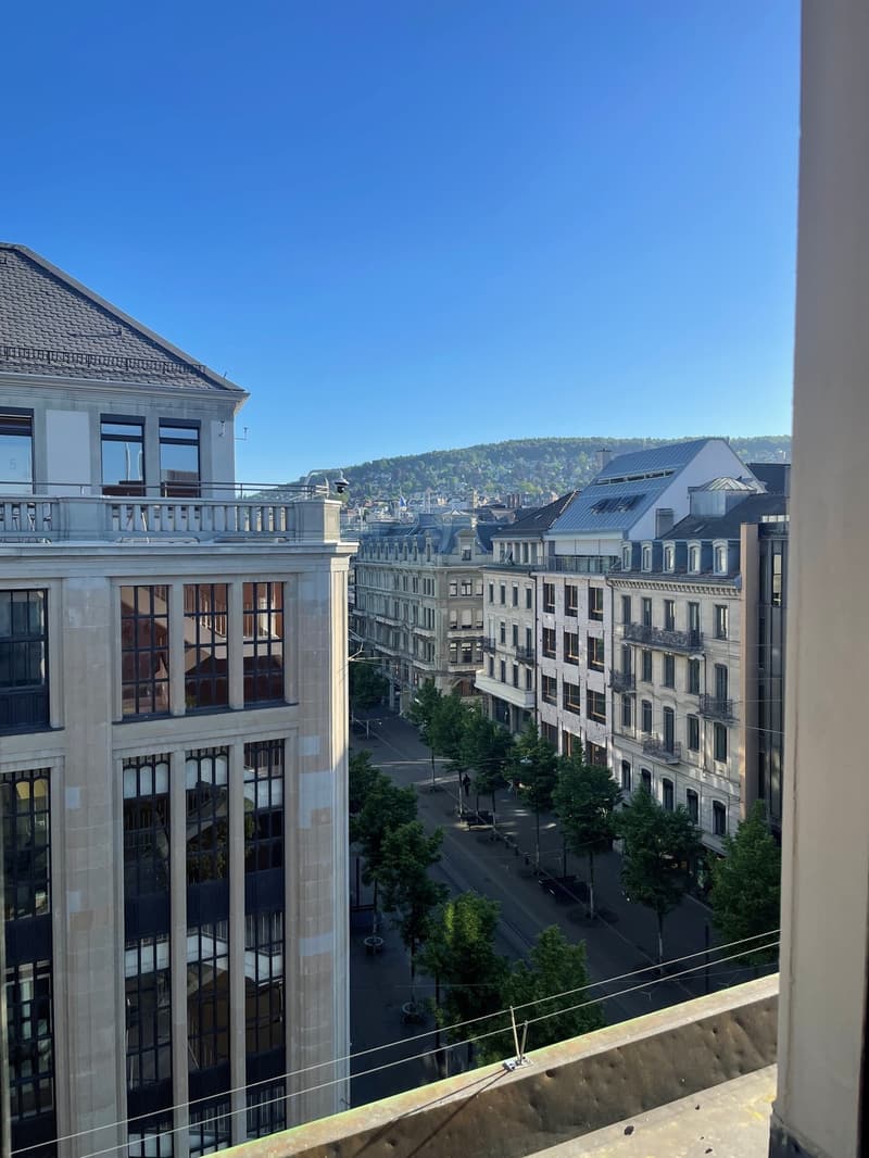 Repräsentative Büro-, Beratungs- und Praxisräume an der Bahnhofstrasse (2)