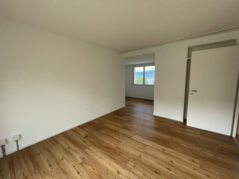 Aussicht, Terrasse und der See in Gehdistanz (8)