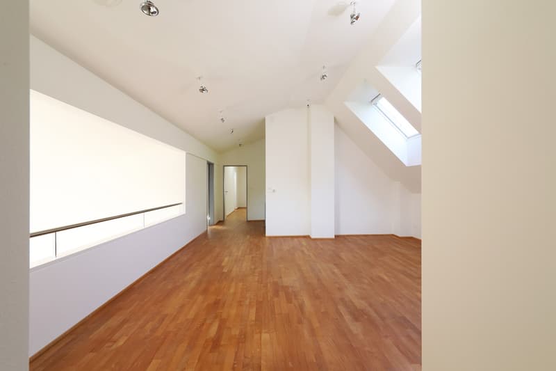 Exklusive, grosszügige Attikawohnung mit traumhafter Aussicht (9)