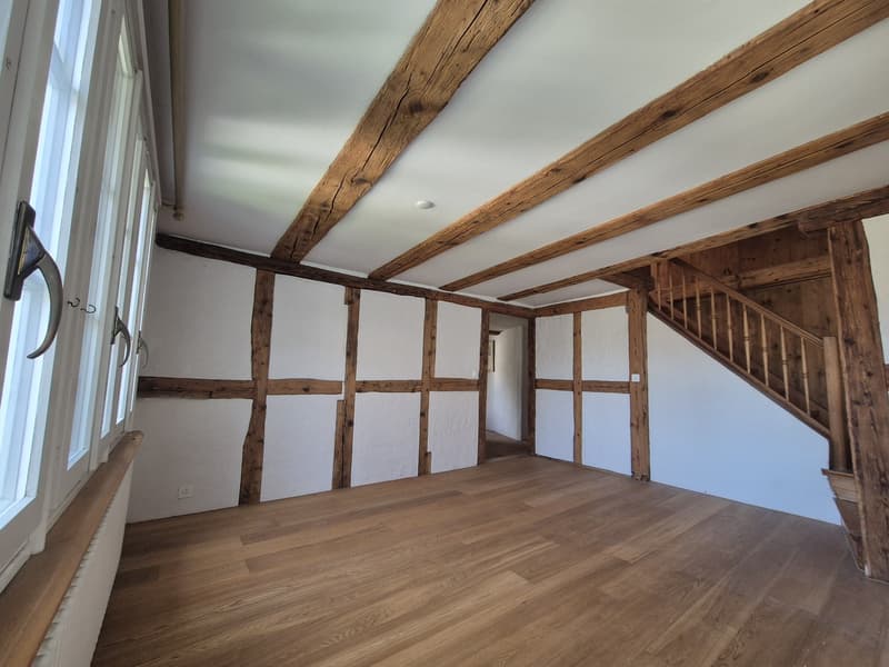 Einzigartiges Bijou im Herzen von Zürich: 3-Zimmer-Dachwohnung mit historischem Charme (6)