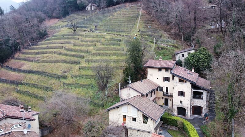 SPAZIOSA CASA DI NUCLEO CON GIARDINO (5)