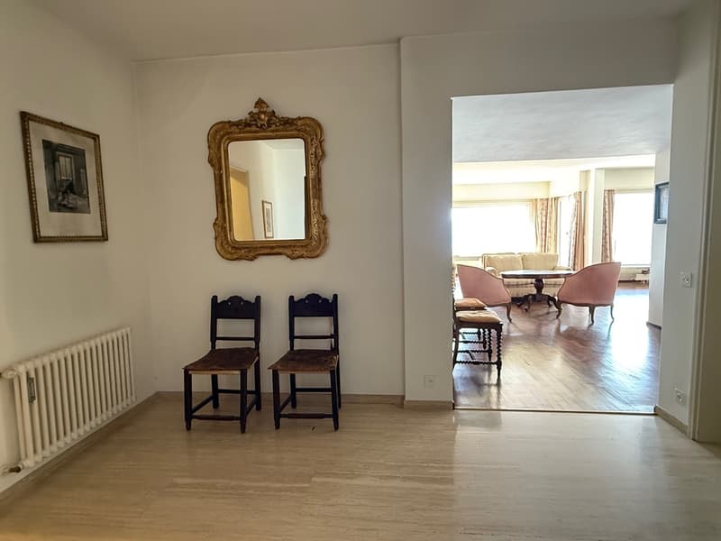 Spazioso appartamento con vista panoramica sul lago di Lugano (9)