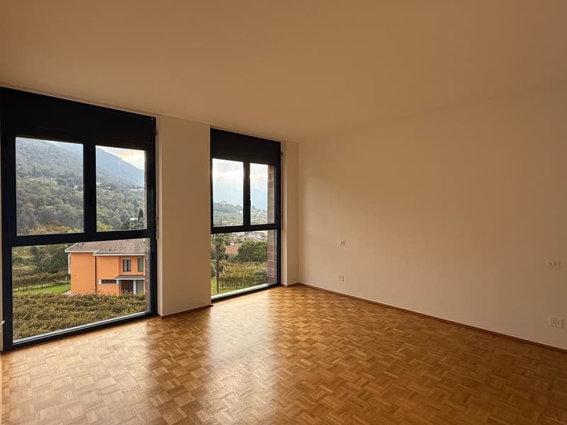 Bel 4.5 loc. in comodissima posizione tranquilla con vista sulle vigne (6)