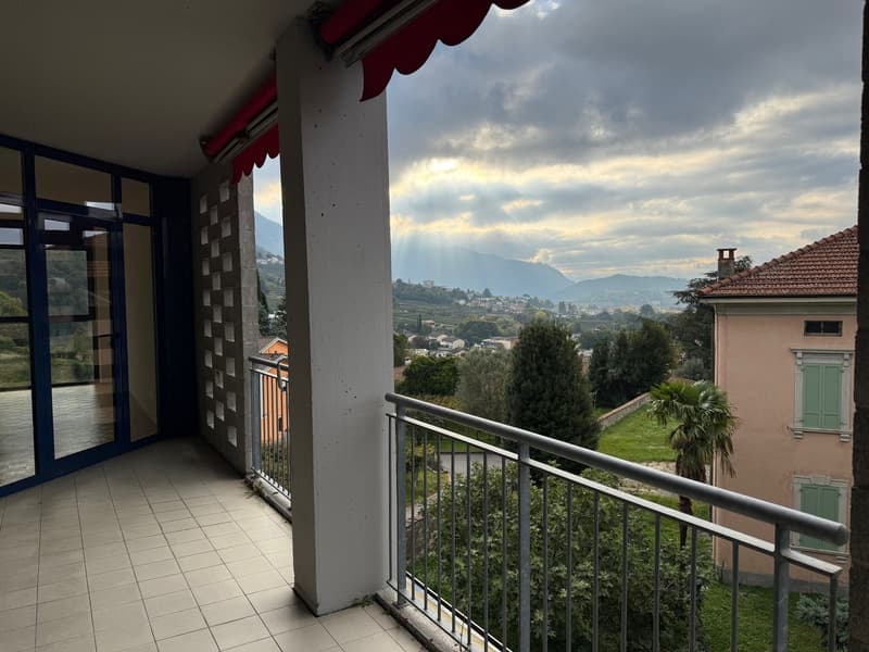 Bel 4.5 loc. in comodissima posizione tranquilla con vista sulle vigne (4)