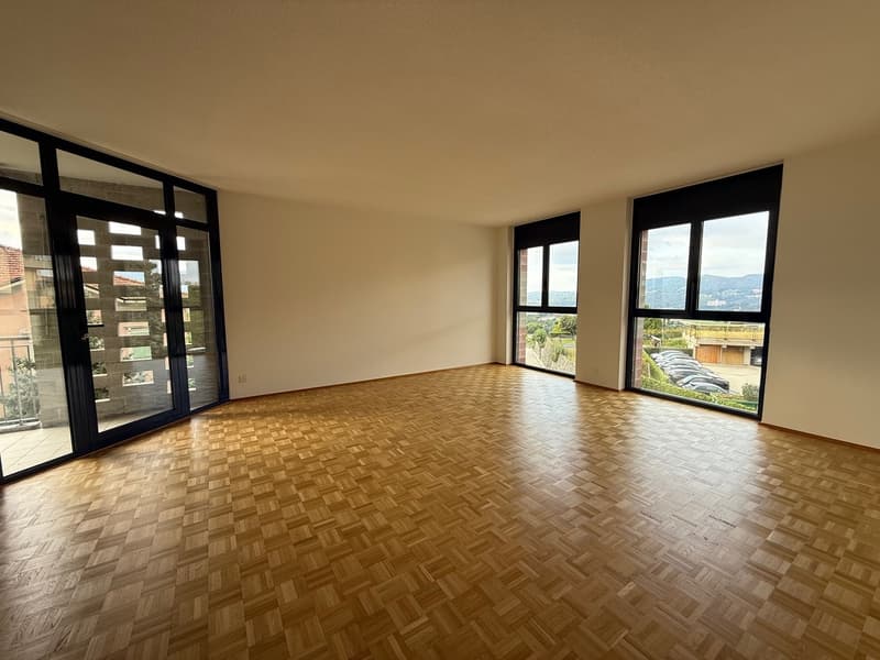 Bel 4.5 loc. in comodissima posizione tranquilla con vista sulle vigne (3)