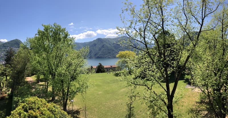 SIGNORILE APPARTAMENTO IMMERSO NEL VERDE A DUE PASSI DAL CENTRO (4)