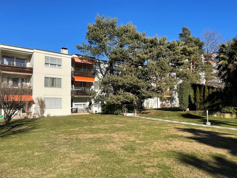 COMODO E SPAZIOSO 4.5 LOC. NEL VERDE A DUE PASSI DAL CENTRO (2)