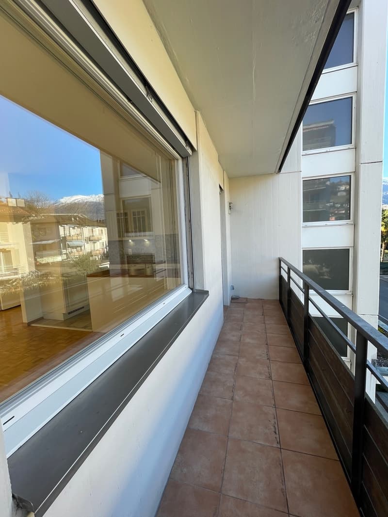 COMODO E SPAZIOSO 4.5 LOC. NEL VERDE A DUE PASSI DAL CENTRO (6)