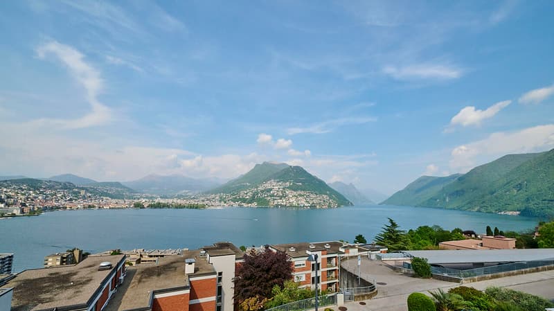 Stupendo 4,5 locali con vista lago in residenza prestigiosa (4)