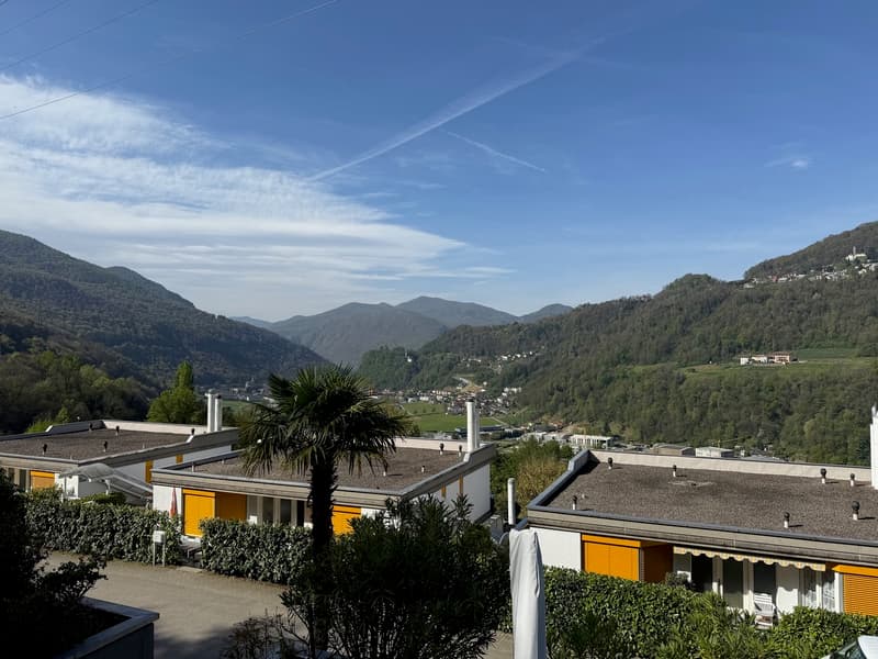 2.5 locali con AMPIA TERRAZZA (1)