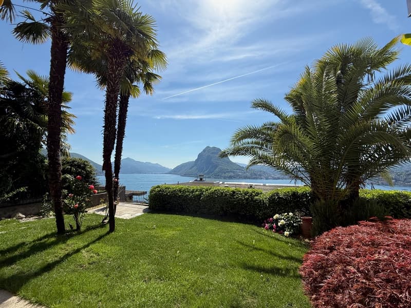 MAGNIFICO Appartamento CON CURATISSIMO GIARDINO E VISTA LAGO (3)