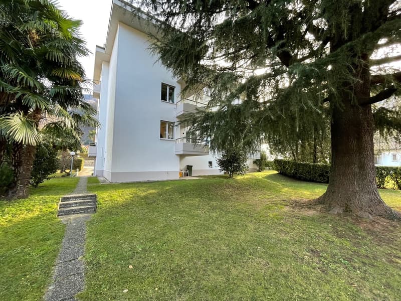 3.5 locali in zona tranquilla (3)
