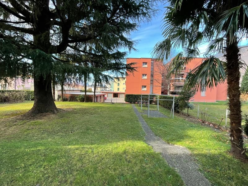 3.5 locali in zona tranquilla (2)