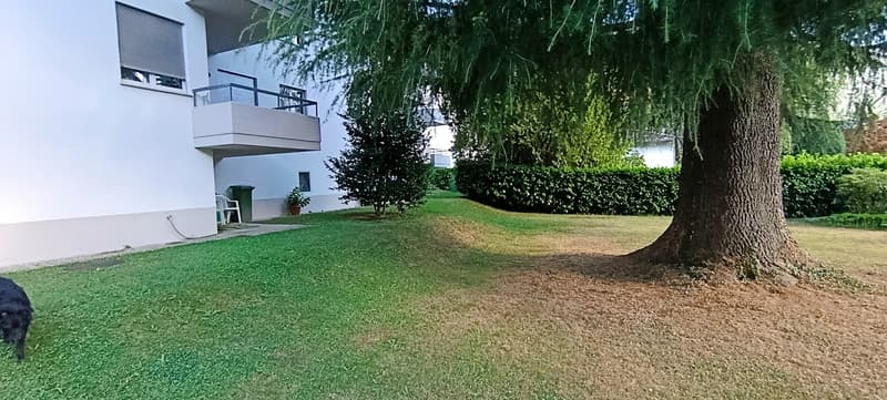3.5 locali in zona tranquilla (11)