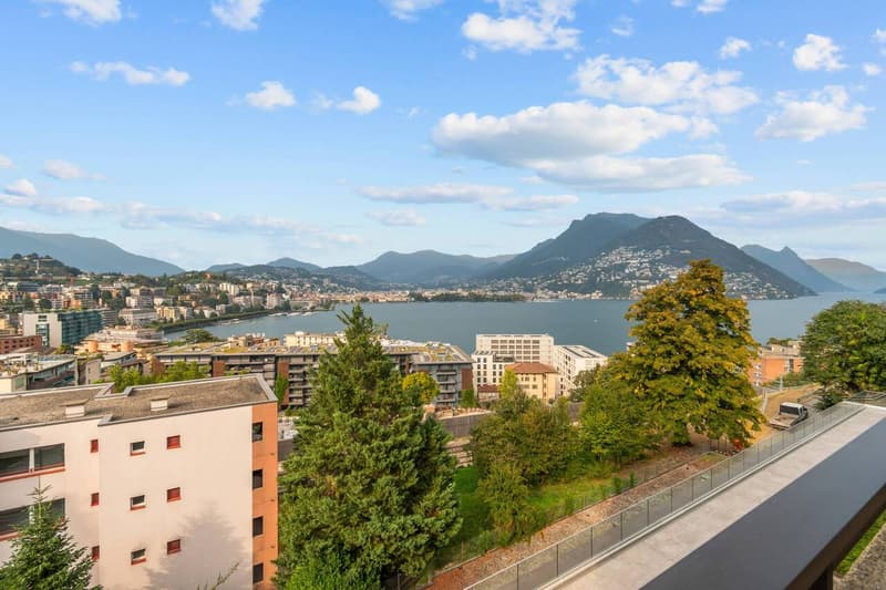 4,5 locali con meravigliosa vista lago (1)