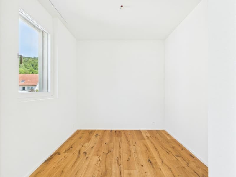 Charmante 1.5-Zimmer-Wohnung in Birmenstorf (3)