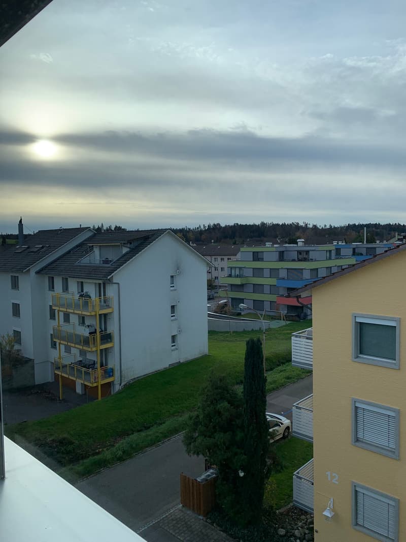 Charmantes 1.5 Zimmer-Dachgeschoss-Wohnung in Bassersdorf (5)