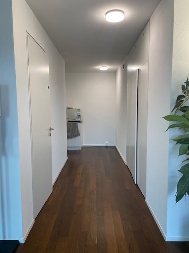 Empty hallway with wooden floor, white walls, two doors, and a plant on the right side.