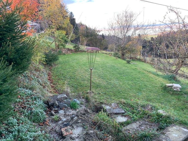 hill with grassy field, metal stand, pine trees, shrubs, stone steps, and a pile of rocks